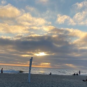 Meet your Posher, Gracie